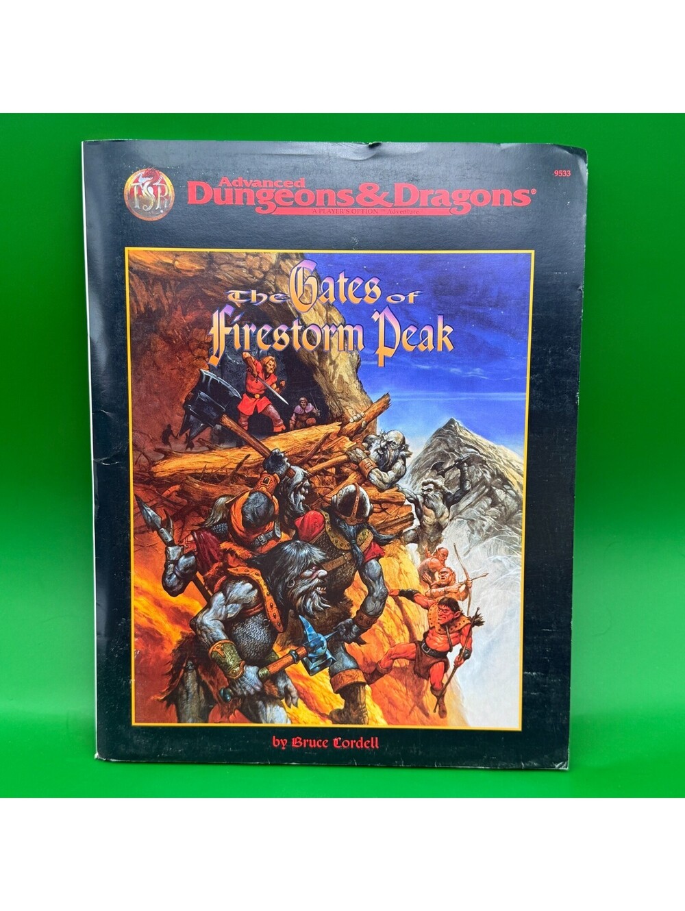 Advanced Dungeons & Dragons 9533 • The Gates of Firestorm Peak 1996 Map